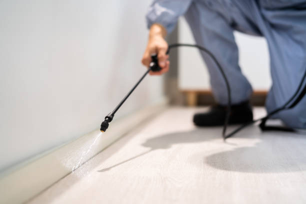 Licensed Cockroach Control service in Carthage, MS - Nex Pest Control