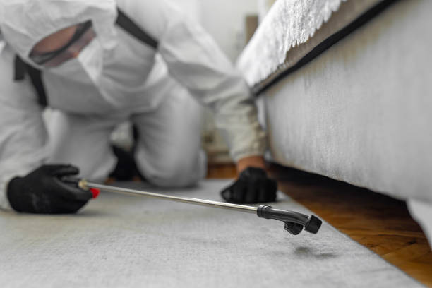 Professional Cockroach Control technician working in Carthage, MS
