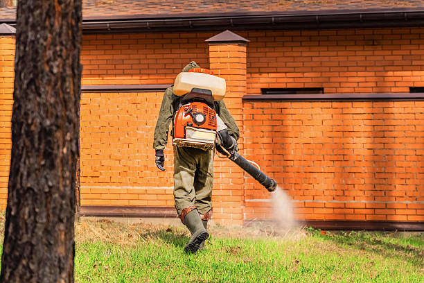 Trusted Mosquito Control service in Carthage, MS - Nex Pest Control